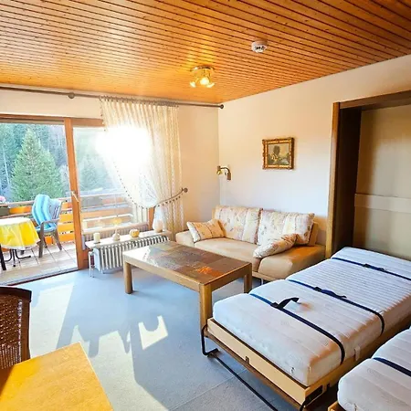 Apartment Traumblick Mit Balkon Todtmoos